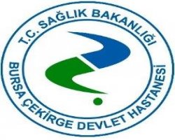 Bursa Çekirge Bursa Çekirge